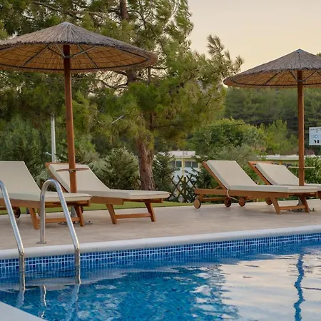 Sun's Reach * Tsairi