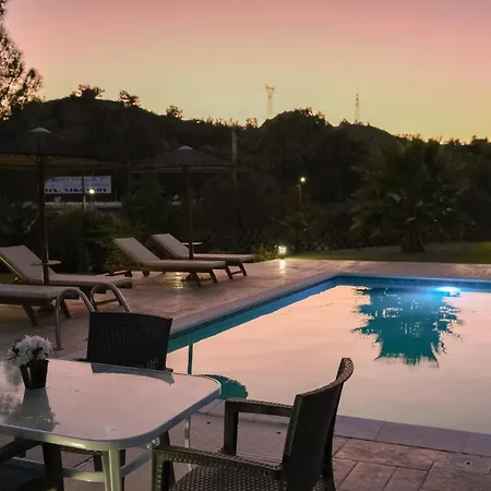 Willa Sun's Reach Tsairi