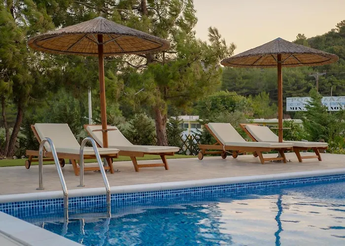 Sun's Reach * Tsairi